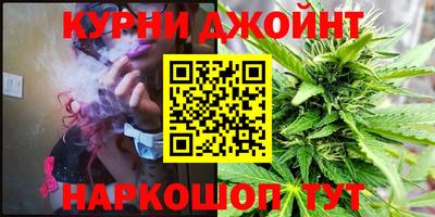крисы Малгобек