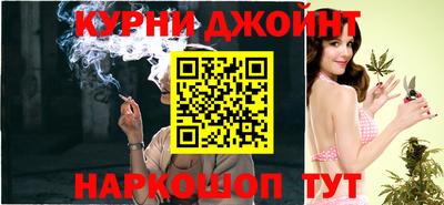 крисы Малгобек