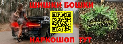 крисы Малгобек