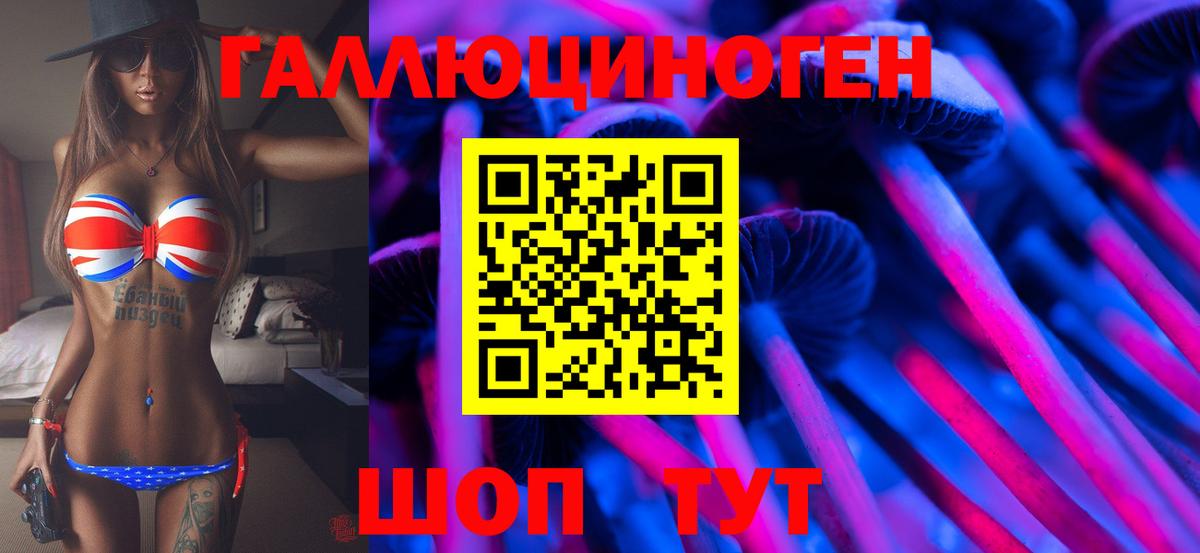 Гудермес  Галлюциногенные грибы Psilocybe  даркнет сайт  Вход с VPN  Галлюциногенные грибы Psilocybine cubensis 